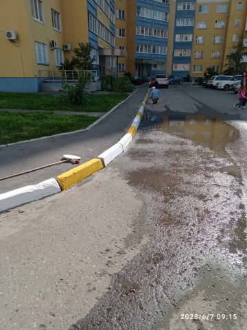 Покраска бордюров